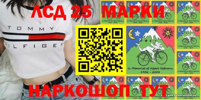 скорость Бердск