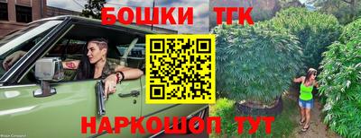 скорость Бердск