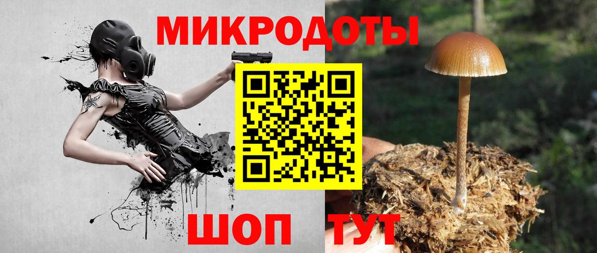 Павловский Посад  Галлюциногенные грибы ЛСД  Вход с VPN 